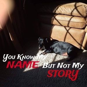 Meet your Posher, Cheryl